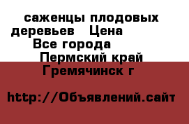 саженцы плодовых деревьев › Цена ­ 6 080 - Все города  »    . Пермский край,Гремячинск г.